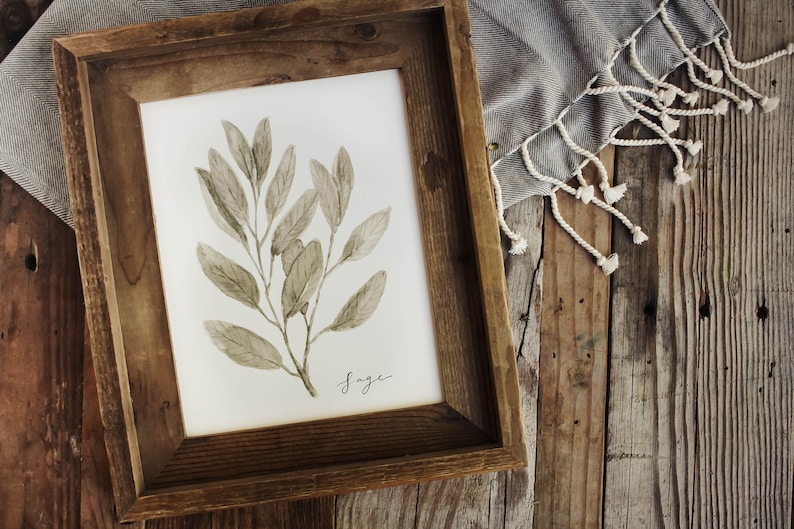 May include: A framed print of a watercolour illustration of a sage plant with the word "Sage" written in cursive below the plant.