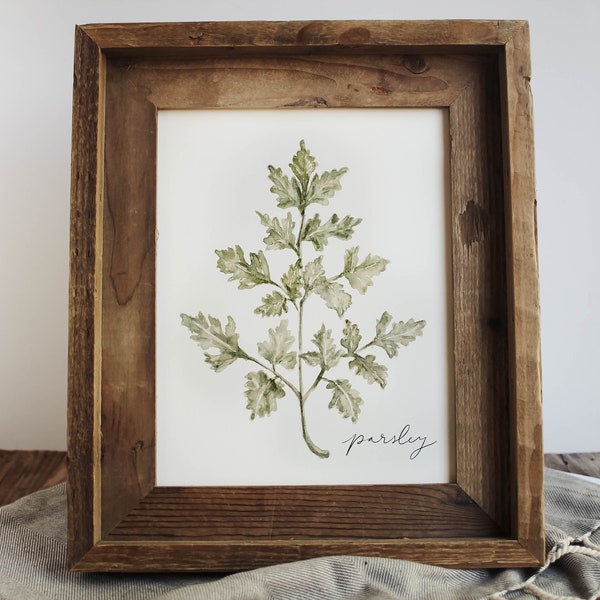 Parsley Print - Watercolor Parsley Print, Home Decor Print, Herb Print, Parsley, Kitchen Decor, Watercolor Print, Greenery