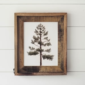 Lodgepole Pine Print - Watercolor Pine Tree,  Watercolor Print, Mountain Decor, Minimalist Decor, Greenery, Cabin, Art Print