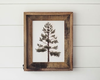Lodgepole Pine Print - Watercolor Pine Tree,  Watercolor Print, Mountain Decor, Minimalist Decor, Greenery, Cabin, Art Print