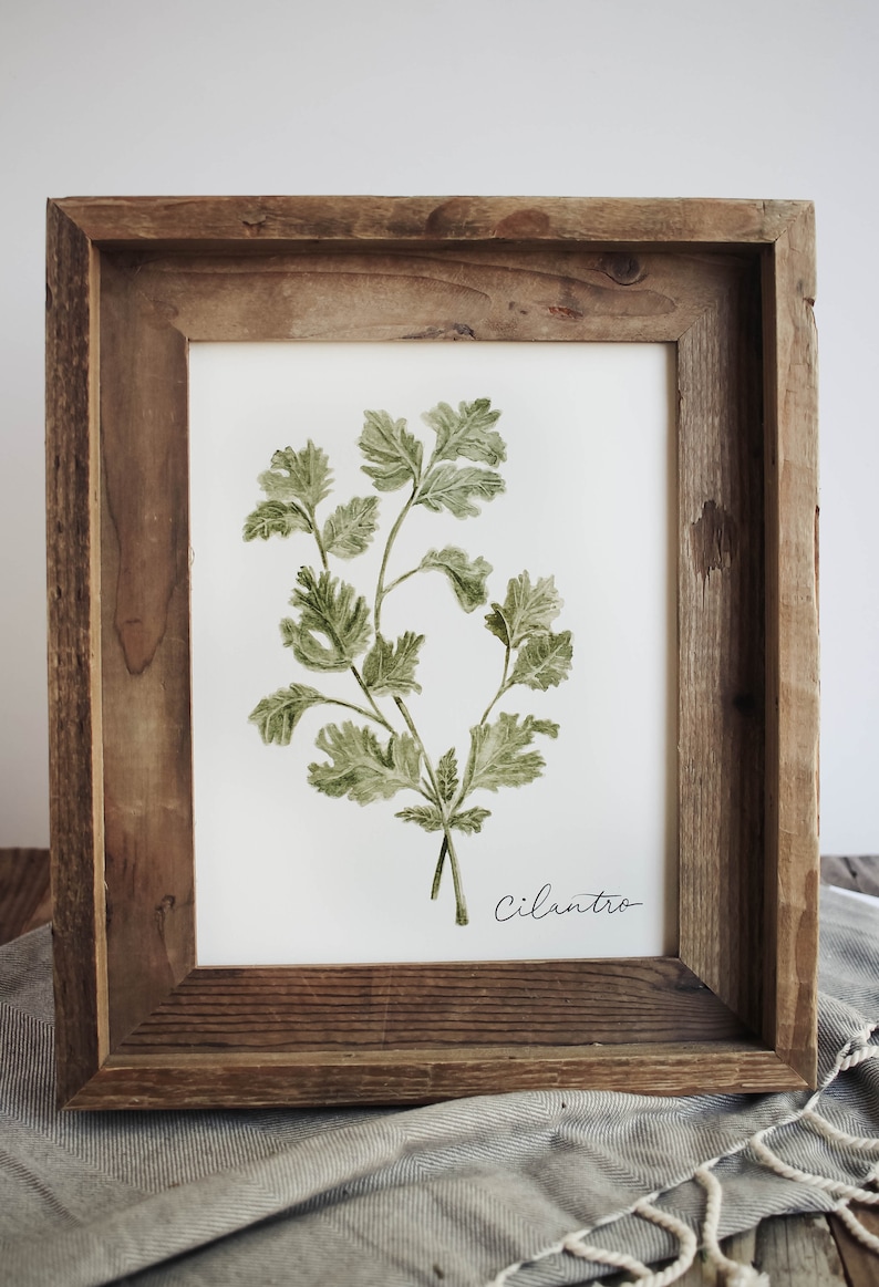 Cilantro Print, Watercolor Cilantro Print, Home Decor Print, Kitchen ...