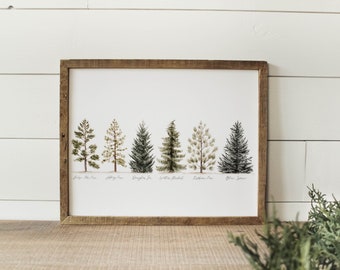 Collection Of Evergreens Print - Line Of Pine Trees Print, Pine Trees Print, Home Decor, Mountain Decor, Watercolor Pines Trees Print