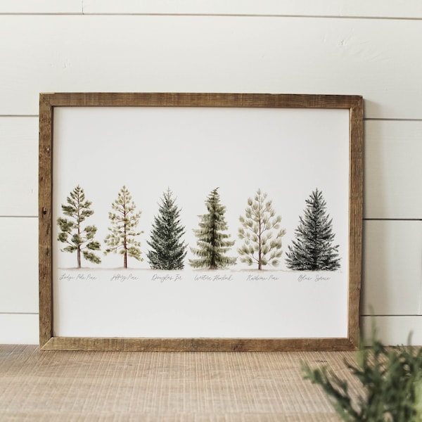 Collection Of Evergreens Print - Line Of Pine Trees Print, Pine Trees Print, Home Decor, Mountain Decor, Watercolor Pines Trees Print