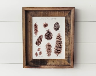 Pine Cone Chart Print - Watercolor Pine Cones, Pine Cones, Nature Print, Wall Art, Cabin Art, Mountain Decor, Pine Cone Guide,