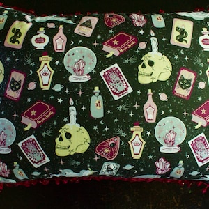 Fortune Tellers Pillow