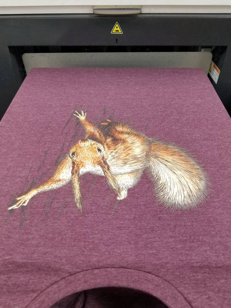 May include: A maroon t-shirt with a printed image of a squirrel peeking out from behind a tree branch.