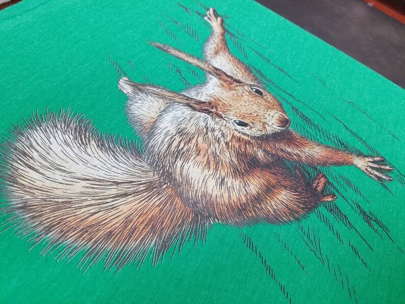 May include: A brown and white squirrel with a bushy tail is depicted on a green background. The squirrel is drawn in a realistic style with detailed fur and facial features.
