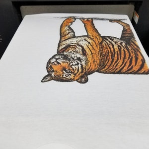 May include: A white t-shirt with a black and orange tiger print. The tiger is upside down and appears to be looking at the camera.