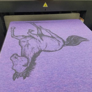 May include: A purple t-shirt with a black and white image of a horse rearing up on its hind legs.