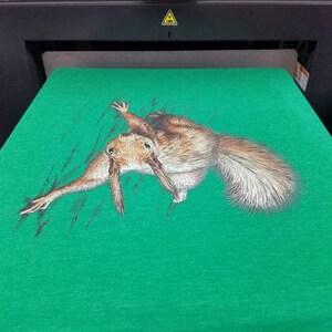 May include: A green t-shirt with a printed image of a brown squirrel hanging upside down.