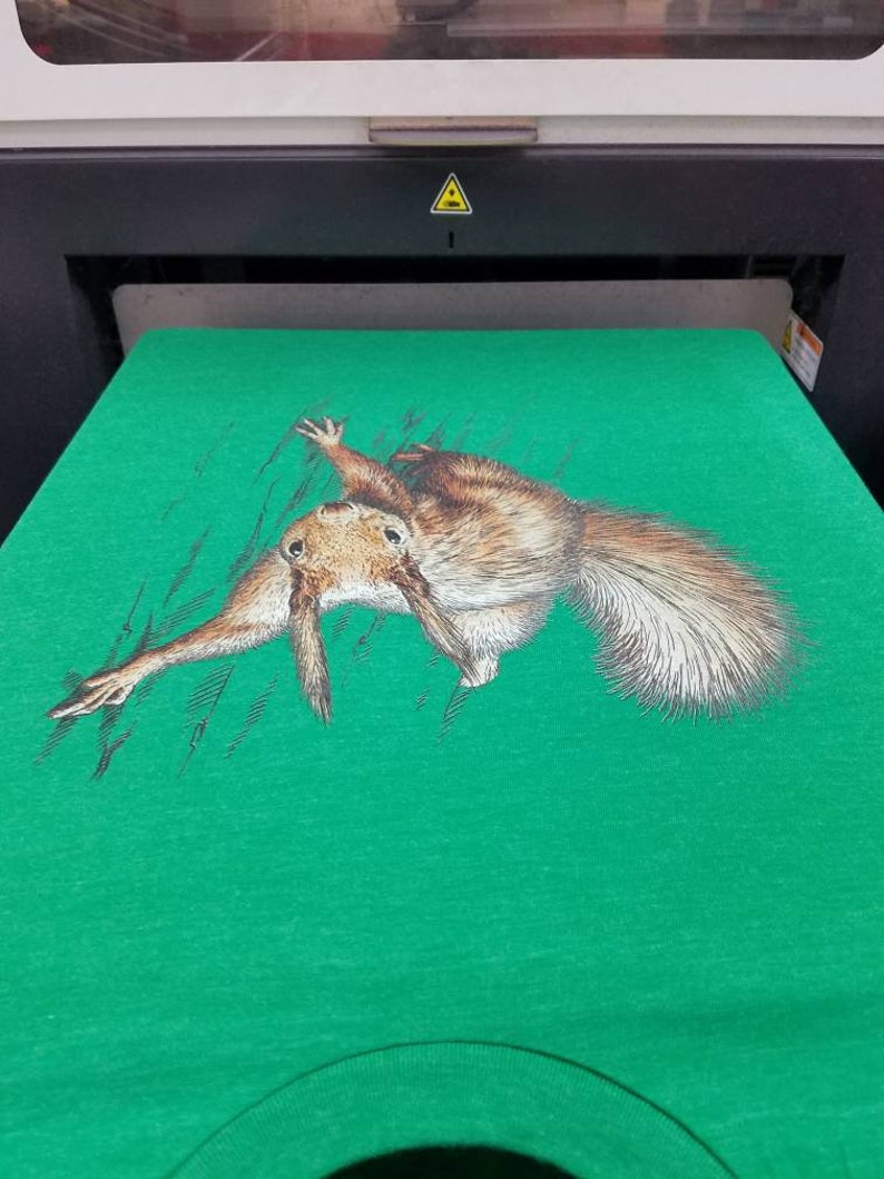 May include: A green t-shirt with a printed image of a brown squirrel hanging upside down.