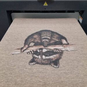 Puede incluir: Una camiseta gris con una imagen impresa de un mapache colgado boca abajo de una rama.