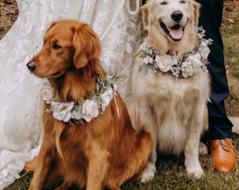 Floral dog collar, boho style dog collar, flower collar, dog collar, flower halo for dogs, made to order