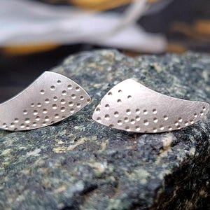 Puede incluir: Un par de pendientes plateados con forma curva, similar a una ala. Cada pendiente presenta una serie de pequeños agujeros espaciados, creando una superficie texturizada. Los pendientes se exhiben sobre una piedra oscura y texturizada.