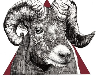 Big Horn Sheep A3 Digital Print