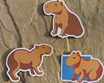Capybara Vinyl Sticker