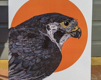 Peregrine Falcon Digital Print