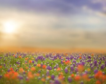 Spring backdrop Summer Digital Backdrop Digital Background | Etsy