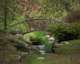 May include: A rustic metal bridge with a unique design arches over a small stream in a lush green garden setting.