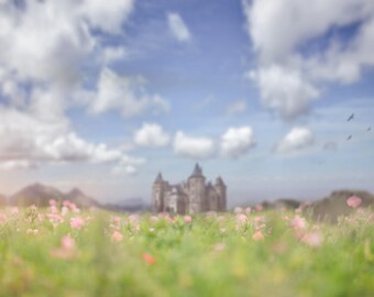 Telón de fondo del castillo, Telón de fondo digital de verano, Fondo digital, Campos de flores, Cuento de hadas, Telón de fondo cremoso, Photoshop, PSE - Descarga instantánea