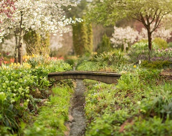 May include: A wooden bridge spans a small stream in a lush garden setting. The bridge is surrounded by green foliage and blooming flowers, creating a serene and picturesque scene.