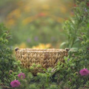 Newborn backdrop, Summer Digital Backdrop, Spring Digital Background, Flowers, Creamy, Dreamy Backdrop, Photoshop, PSE -Instant Download