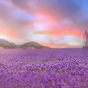 Digital backdrop, Summer Digital Backdrop, Spring Digital Background, Flower Field, Sunset Dreamy Backdrop, Photoshop, PSE -Instant Download