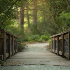 May include: A wooden bridge with a path leading through a lush green forest. The bridge has a wooden railing and a slatted wooden surface.