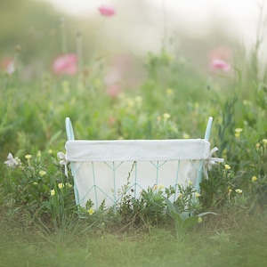Newborn Digital backdrop, Summer Digital Backdrop, Spring Digital Background, Flower field, Dreamy Backdrop, Photoshop, PSE-Instant Download