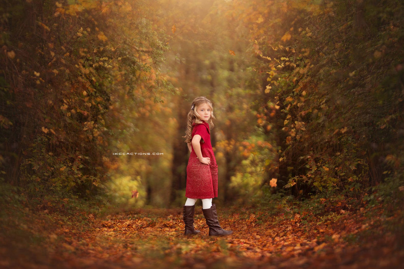 KCC Fall Digital Background/Backdrop Instant Download Etsy