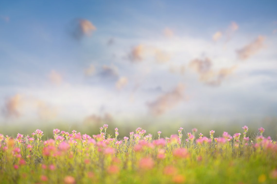 Spring Backdrop Summer Digital Backdrop Castle Digital - Etsy