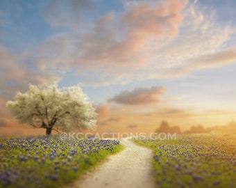 Summer/Spring Digital background - Adobe Photoshop