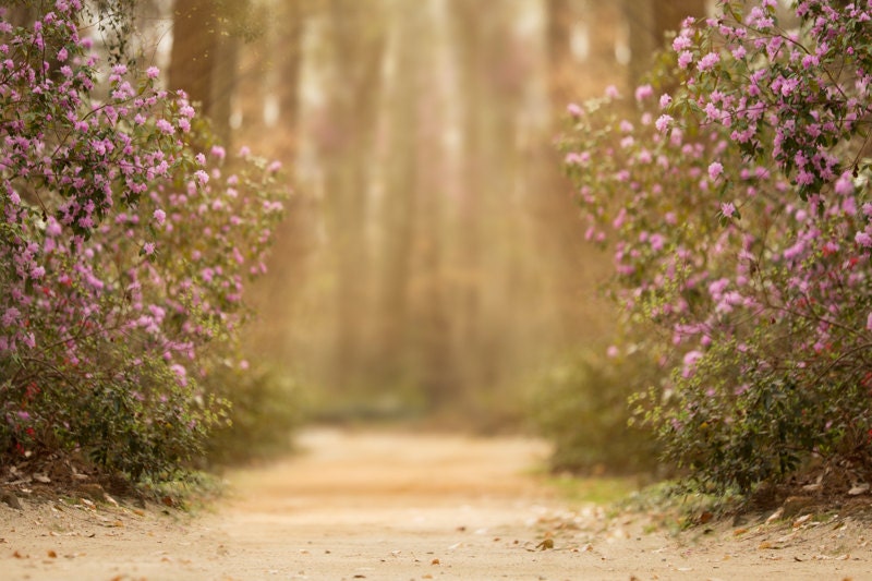 Spring Backdrop Summer Digital Backdrop Digital Background - Etsy Canada