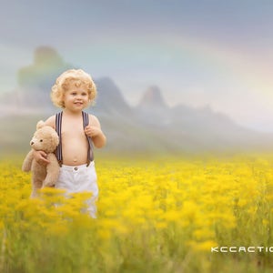 Digital backdrop, Summer Digital Backdrop, Spring Digital Background, Flower Field, Sunset Dreamy Backdrop, Photoshop, PSE -Instant Download