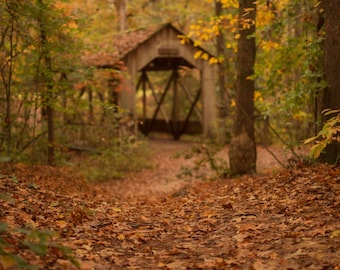 Covered Bridge fall Digital backdrop,  Digital Backdrop, Fall Digital Background, Autumn, Dreamy Backdrop, Photoshop, PSE -Instant Download