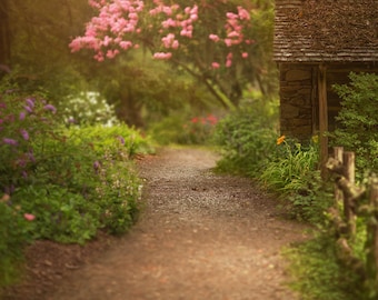 Telón de fondo de primavera, Telón de fondo digital de verano, Fondo digital, Camino de flores, Soñador, Telón de fondo de ensueño, Photoshop, PSE - Descarga instantánea