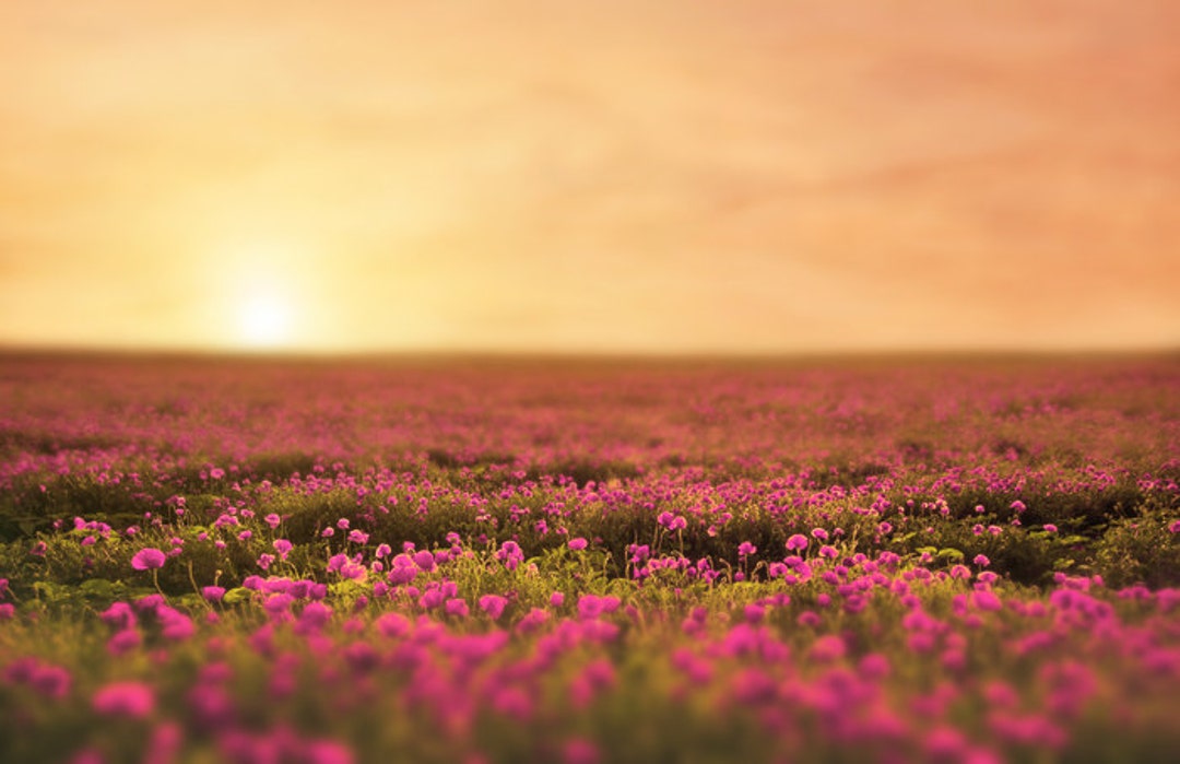 Spring Backdrop, Summer Digital Backdrop, Spring Digital Background ...