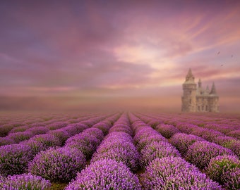 Telón de fondo del castillo, Telón de fondo digital de verano, Fondo digital, Campos de flores, Cuento de hadas, Telón de fondo cremoso, Photoshop, PSE - Descarga instantánea
