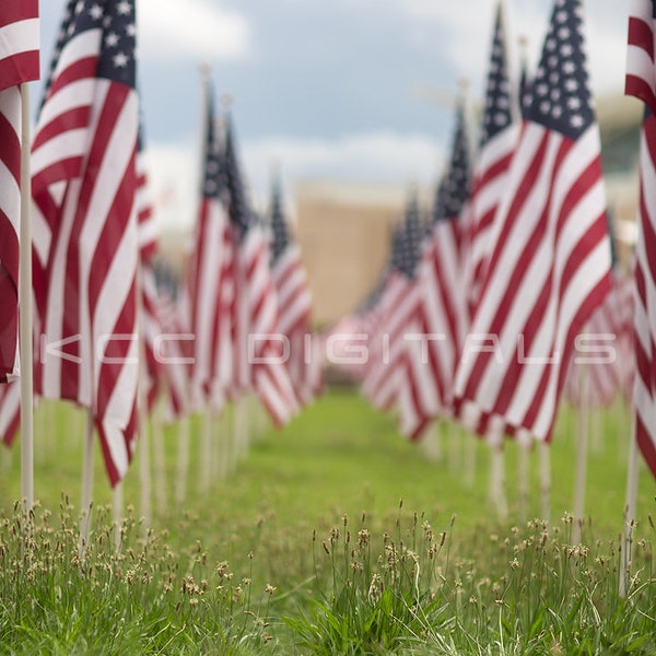 4th of July Digital Backdrop,Summer backdrop, Digital Background, Flag Backdrop, Bridge Background, Patriotic Backdrop - Instant Download