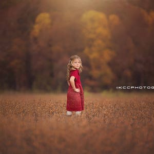 May include: A young girl in a red dress stands in a field of brown grass. The background is blurred and shows a forest with trees in the fall.