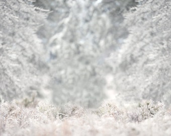 Snowy Winter Digital backdrop, WinterDigital Backdrop,  Digital Background, Snow,  Dreamy cold  Backdrop, Photoshop, PSE -Instant Download