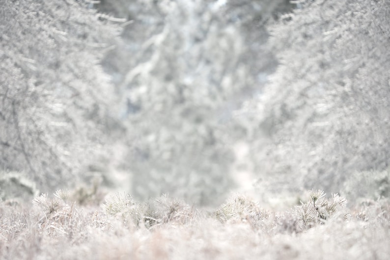 Snowy Winter Digital Backdrop Winterdigital Backdrop Digital Etsy