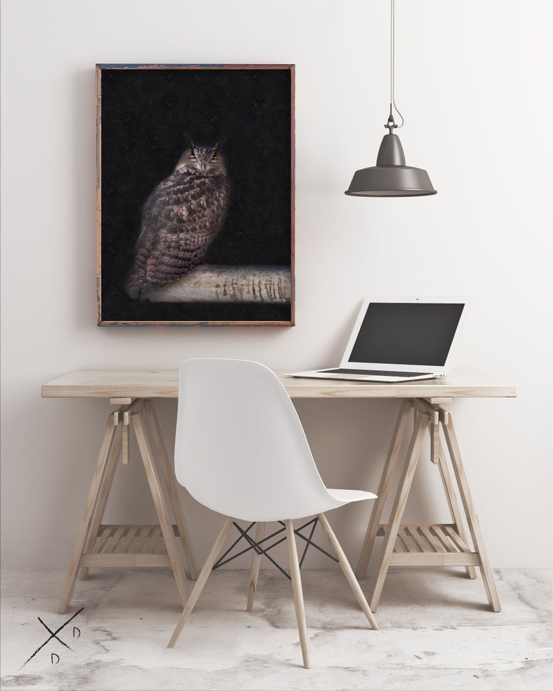 wise bird theme Wise OWL Digital print for office or home by Darkydoors