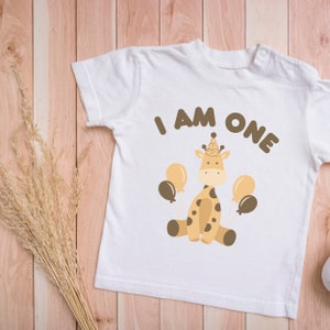 First birthday tshirt I am ONE birthday tshirt 1st Birthday t-shirt Birthday outfit Birthday outfit boy Birthday Gift for baby ONE year old