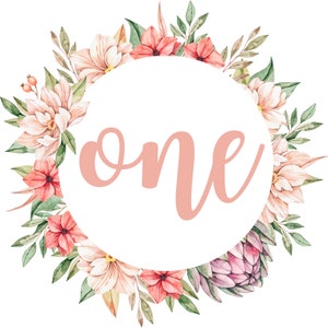 Flor aniversário svg, Primeiro aniversário svg, Aniversário de menina png, Sublimação de flores svg, Design digital de aniversário de flores silvestres, ONE svg