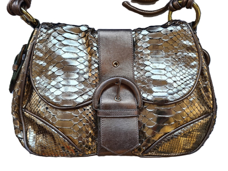 Sac femme en cuir de python doré, Walter Steiger, Business Style, vue de face, posé à plat sur fond blanc, zoom sur la boucle