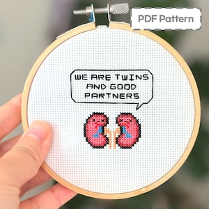 Puede incluir: Un aro de bordado de punto de cruz blanco con una imagen pixelada roja y azul de dos riñones con el texto "We are twins and good partners" en un globo de diálogo.