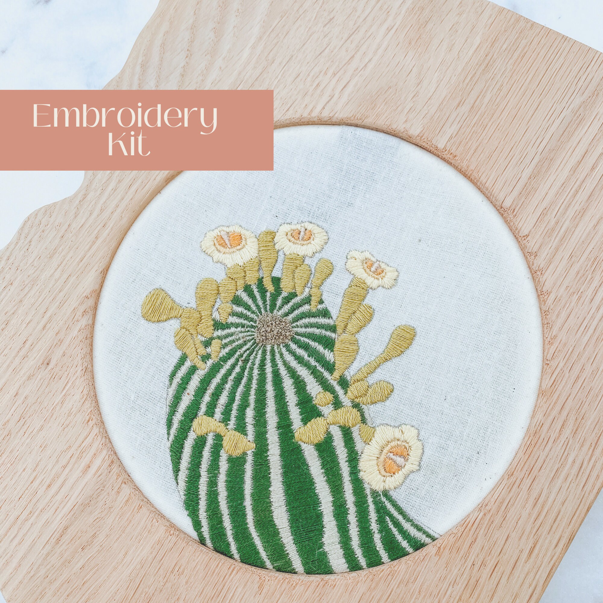 DIY Embroidery Kit Beginner, Needlepoint Kit With Joshua Tree Design, Craft  Kit for Adults 