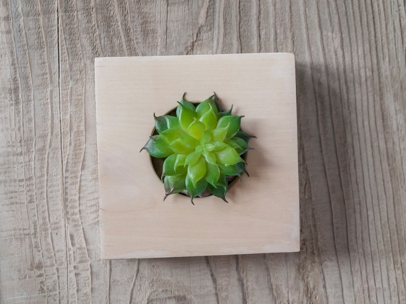 Wood succulent planter Wooden succulent planter Small plant pot Confetti planter Scandi design Air pot Modern Minimalist planter