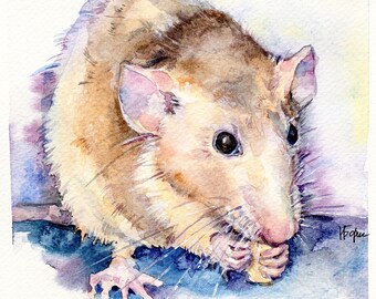 Watercolor Rat portrait, pet portrait from photo, custom rat art, watercolor pet portrait, memorial pet gift, rat drawing, rat lover gift